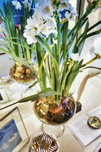 How to Make a Centerpiece Using Magnolia Market Paperwhites